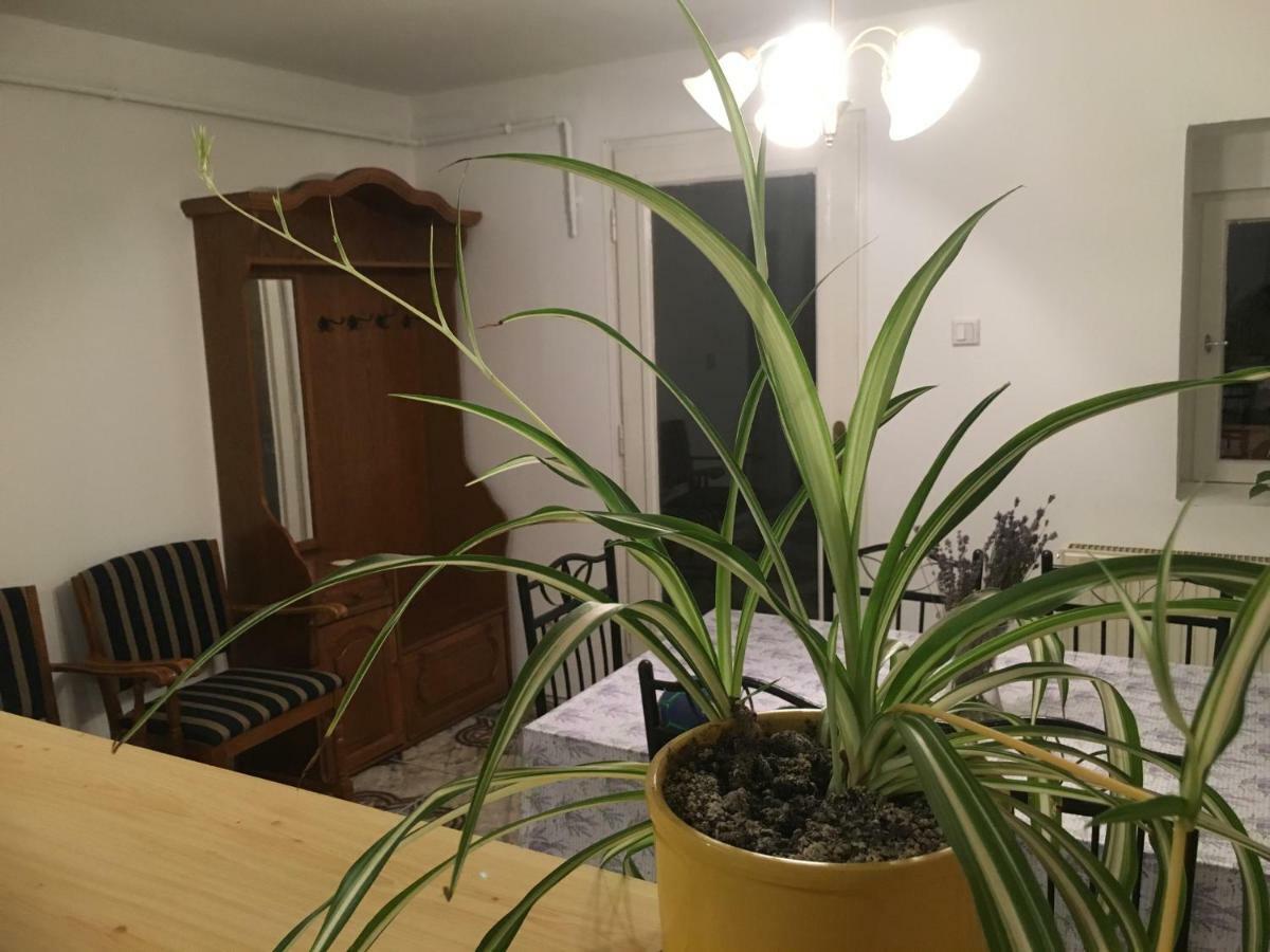 Levendula Apartmanhaz Lejlighed Sümeg Eksteriør billede